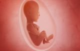 الإجهاض وفيتامين “بي 3″ اي دور له؟